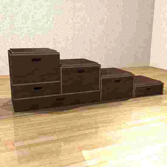 Sport-Thieme Combi Plyo Box Set - Image 2